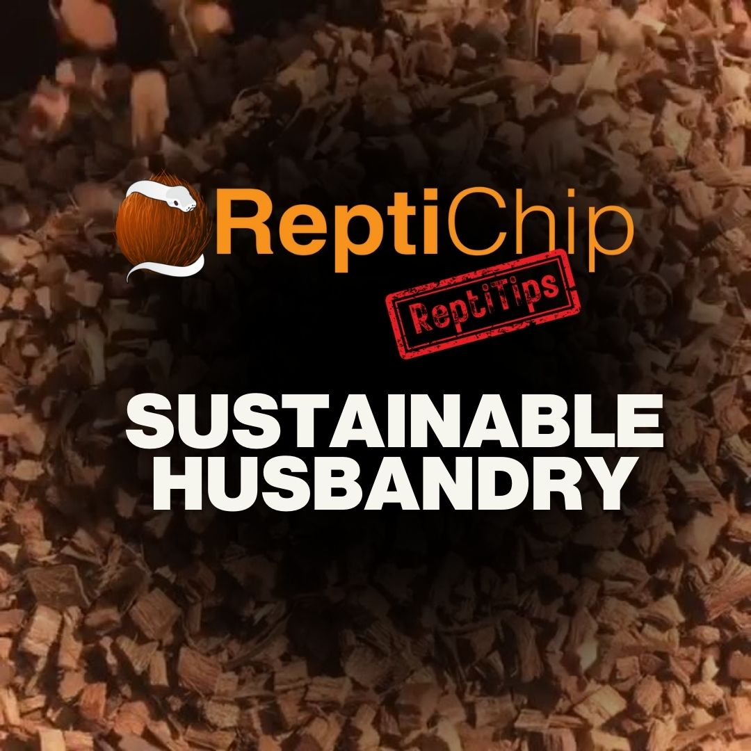 Sustainable Reptile Keeping with ReptiChip